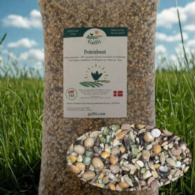 Proteinboost til høns