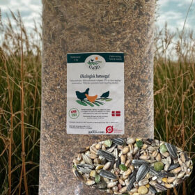 Økologisk hønseguf