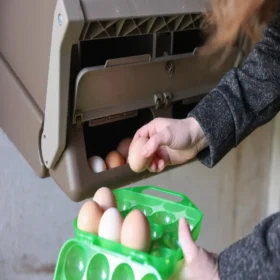 redekasse i plast med ægopsamling.